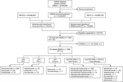 Hepatitis-related adverse events associated with immune checkpoint inhibitors in cancer patients: an observational, retrospective, pharmacovigilance study using the FAERS database